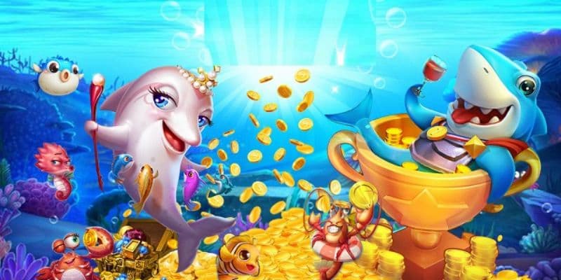 Vua cướp biển Vua cướp biển lưu ý quan trọng