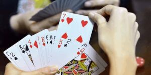 Câu bài phỏm giới thiệu tổng quan