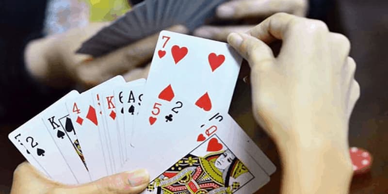 Câu bài phỏm Câu bài phỏm giới thiệu tổng quan